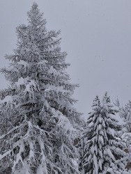 Impressionnantes chutes de neige