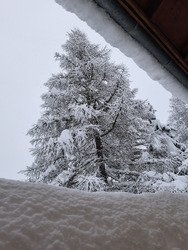 Impressionnantes chutes de neige
