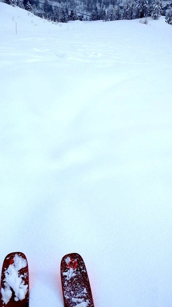 Il neige !