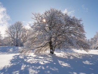 Lever de soleil sur le Vercors enneigé ❄️❄️❄️ ce vendredi 18 avril 