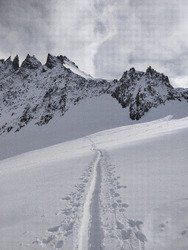 Le bon pari 