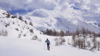 Le tour du bout du monde