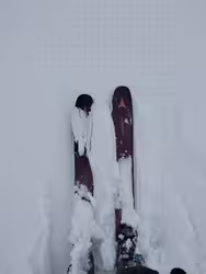 Seuls sur les pistes ! Ah mais c'est normal.