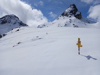 Encore un peu de rab, s'il vous plaît.