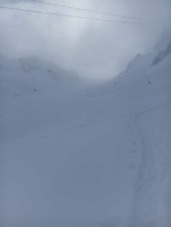 Poudreuse et purée de pois