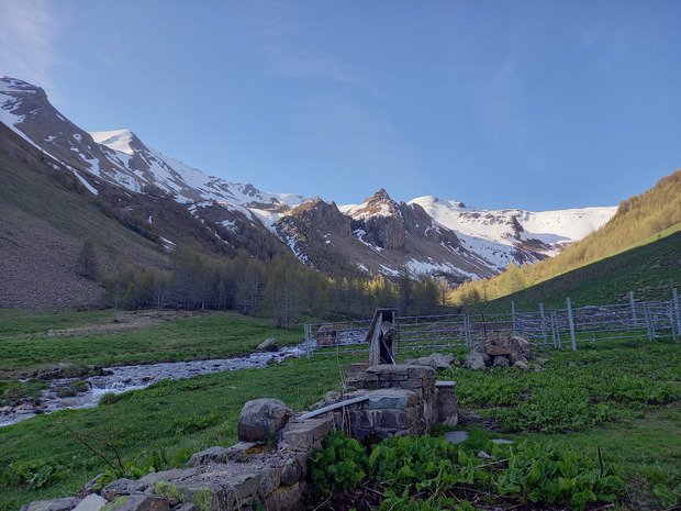 Le réveil des marmottes