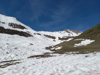 Le réveil des marmottes