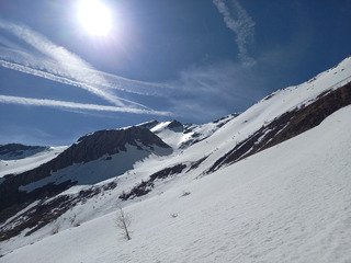 Le réveil des marmottes