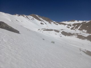 Le réveil des marmottes
