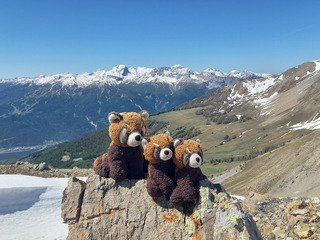 Le réveil des marmottes
