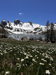 Lac d’Allos estival ☀️