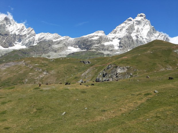 Cervinia, Cervineige