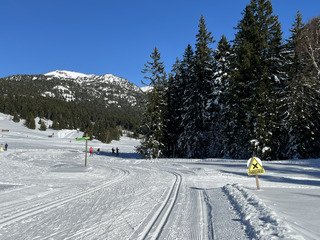 White Saturday -50% au patin