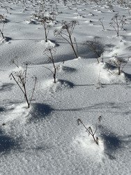 White Saturday -50% au patin