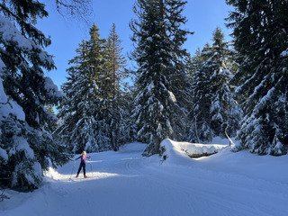 White Saturday -50% au patin