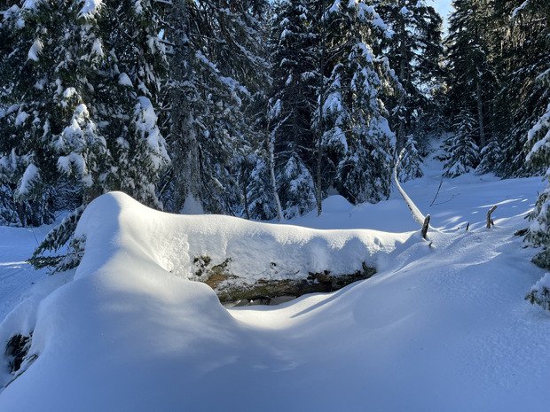 White Saturday -50% au patin