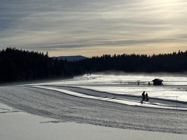 White Saturday -50% au patin