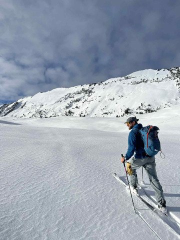 Chartreuse Wonderland