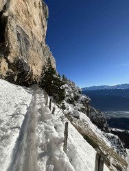 Chartreuse Wonderland