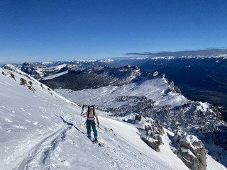 Chartreuse Wonderland