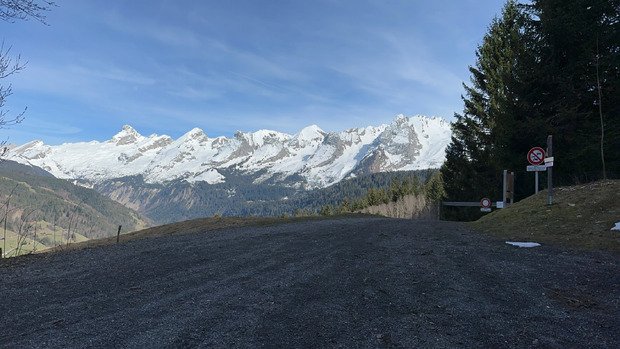 Beauté