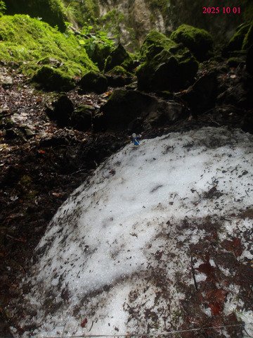 legoteam backcountry 1060 m ASL
