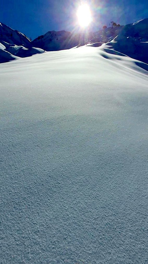 Croute et poudre pourquoi choisir ?