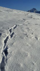 Traces et panorama sublimes !