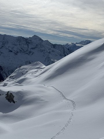 Poudre et moquette pour Halloween