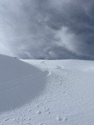 Poudre et moquette pour Halloween
