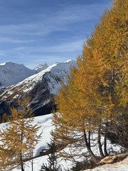 Poudre et moquette pour Halloween
