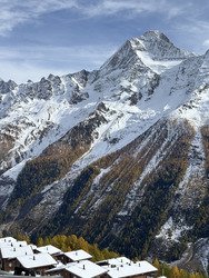 Poudre et moquette pour Halloween