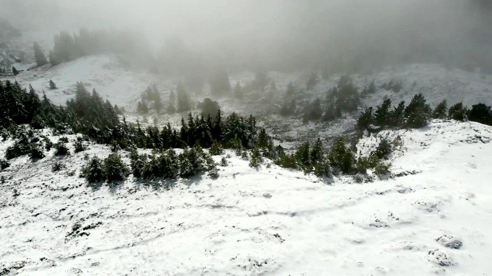 inspection en belledonne