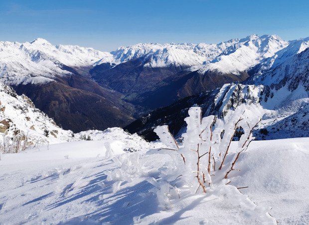 Des opportunistes au nez creux... 