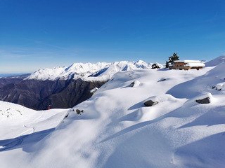 Des opportunistes au nez creux... 