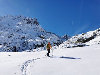 Des opportunistes au nez creux... 
