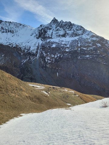 Première sortie nature