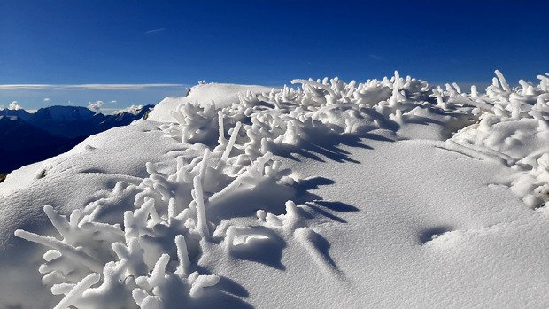 Ça se prépare, 40 au Dôme 