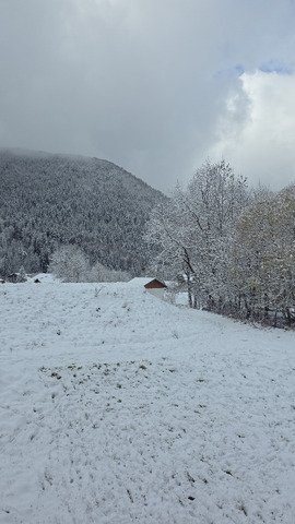 Première neiges 🌨 