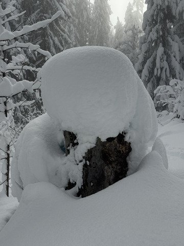 Session de rattrapage 