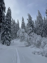 Session de rattrapage 