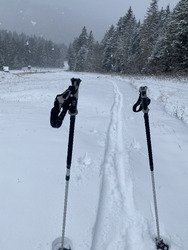 Les 15 premiers centimètres de neige en Chartreuse…