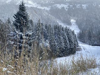 Les 15 premiers centimètres de neige en Chartreuse…