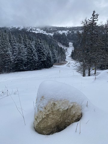 Les 15 premiers centimètres de neige en Chartreuse…