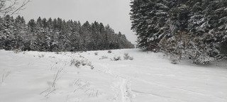 Bien bon, mais il faut skier léger 