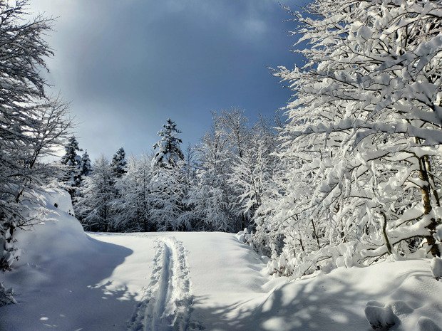 Premier D-Day! 40 cm à 1500 m :)