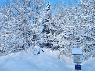 Premier D-Day! 40 cm à 1500 m :)