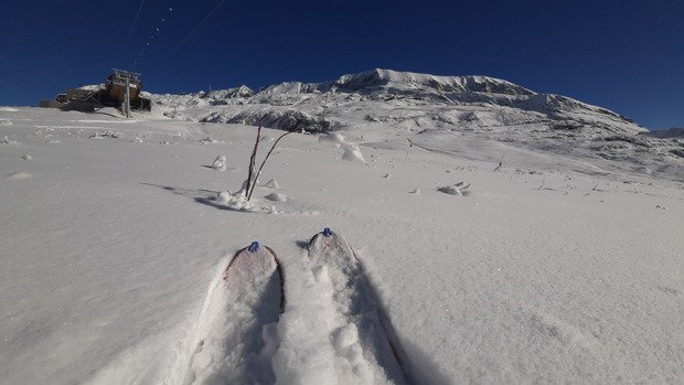 Pur bonheur dans la poudre !