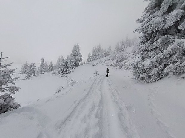 Powder hunter ... la saison est lancée