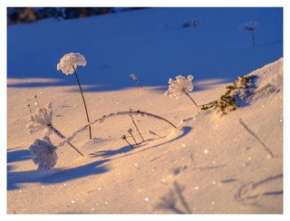 Coucher de soleil au Moucherotte